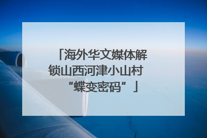 海外华文媒体解锁山西河津小山村“蝶变密码”