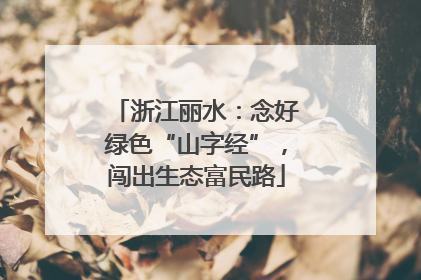 浙江丽水：念好绿色“山字经”，闯出生态富民路