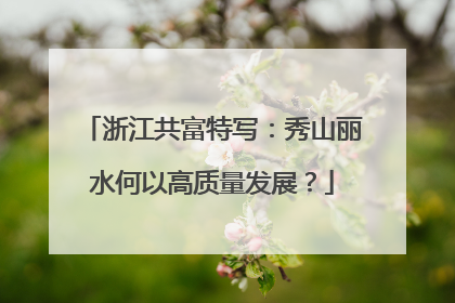 浙江共富特写：秀山丽水何以高质量发展？