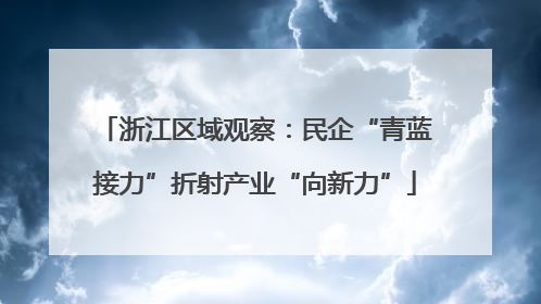 浙江区域观察：民企“青蓝接力”折射产业“向新力”