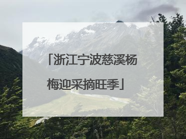 浙江宁波慈溪杨梅迎采摘旺季
