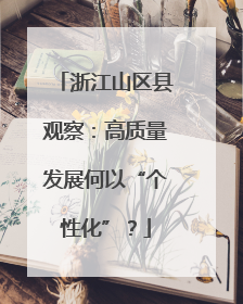 浙江山区县观察：高质量发展何以“个性化”？