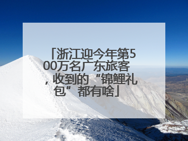 浙江迎今年第500万名广东旅客，收到的“锦鲤礼包”都有啥