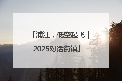浦江，低空起飞｜2025对话街镇