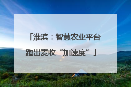 淮滨：智慧农业平台跑出麦收“加速度”
