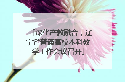 深化产教融合，辽宁省普通高校本科教学工作会议召开