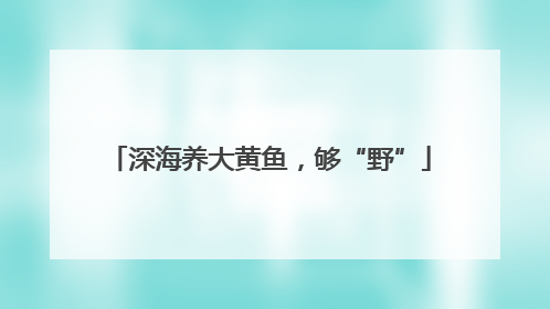 深海养大黄鱼，够“野”