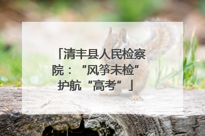 清丰县人民检察院：“风筝未检”护航“高考”