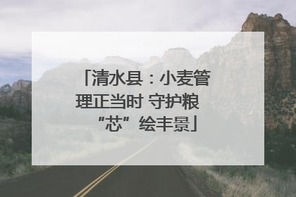 清水县：小麦管理正当时 守护粮“芯”绘丰景