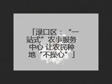 渌口区：“一站式”农事服务中心 让农民种地“不操心”