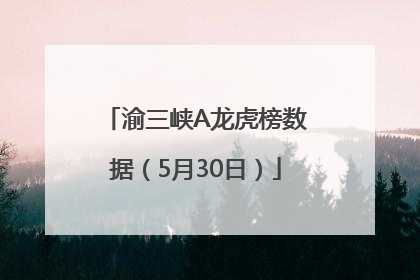 渝三峡A龙虎榜数据（5月30日）