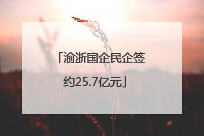 渝浙国企民企签约25.7亿元