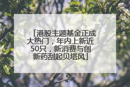 港股主题基金正成大热门，年内上新近50只，新消费与创新药刮起贝塔风