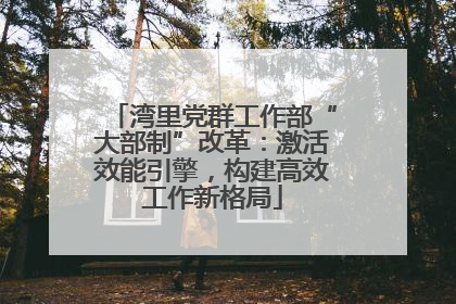 湾里党群工作部“大部制”改革：激活效能引擎，构建高效工作新格局