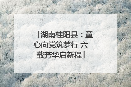 湖南桂阳县：童心向党筑梦行 六载芳华启新程