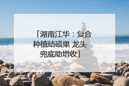 湖南江华：复合种植结硕果 龙头兜底助增收