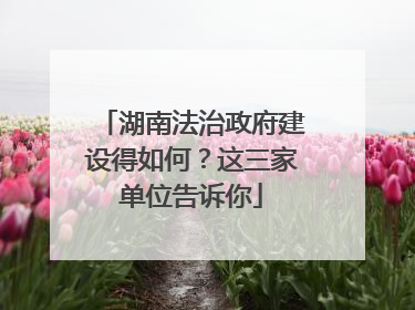 湖南法治政府建设得如何？这三家单位告诉你