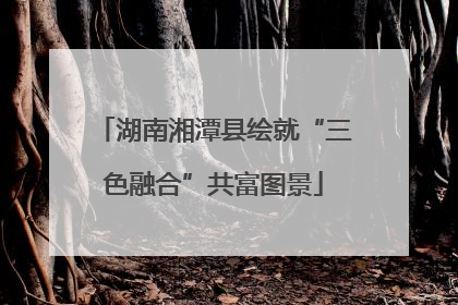 湖南湘潭县绘就“三色融合”共富图景