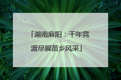 湖南麻阳：千年竞渡尽展苗乡风采