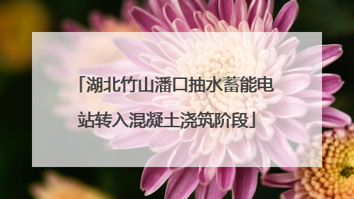 湖北竹山潘口抽水蓄能电站转入混凝土浇筑阶段