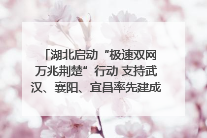 湖北启动“极速双网 万兆荆楚”行动 支持武汉、襄阳、宜昌率先建成“万兆先锋城市”