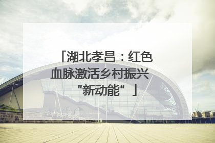 湖北孝昌：红色血脉激活乡村振兴“新动能”