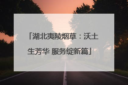 湖北夷陵烟草：沃土生芳华 服务绽新篇