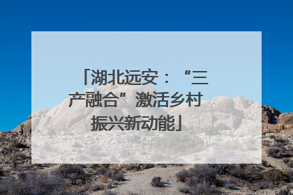 湖北远安：“三产融合”激活乡村振兴新动能