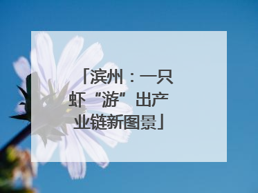 滨州：一只虾“游”出产业链新图景