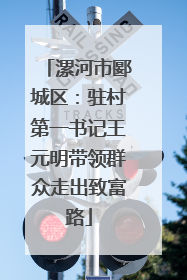漯河市郾城区：驻村第一书记王元明带领群众走出致富路