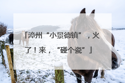 漳州“小景德镇”，火了！来，“碰个瓷”