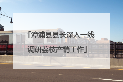 漳浦县县长深入一线调研荔枝产销工作