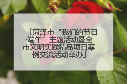 菏泽市“我们的节日·端午”主题活动暨全市文明实践精品项目案例交流活动举办