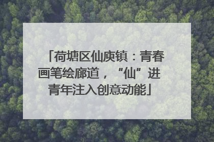 荷塘区仙庾镇：青春画笔绘廊道，“仙”进青年注入创意动能