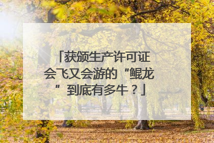 获颁生产许可证 会飞又会游的“鲲龙”到底有多牛？