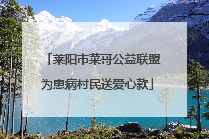 莱阳市菜哥公益联盟为患病村民送爱心款