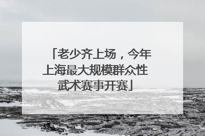 老少齐上场，今年上海最大规模群众性武术赛事开赛