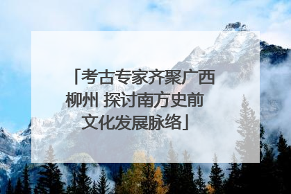 考古专家齐聚广西柳州 探讨南方史前文化发展脉络