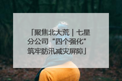 聚焦北大荒｜七星分公司“四个强化”筑牢防汛减灾屏障