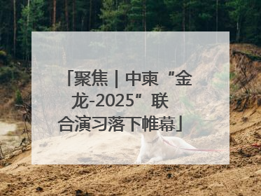 聚焦｜中柬“金龙-2025”联合演习落下帷幕