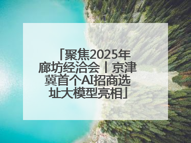 聚焦2025年廊坊经洽会丨京津冀首个AI招商选址大模型亮相