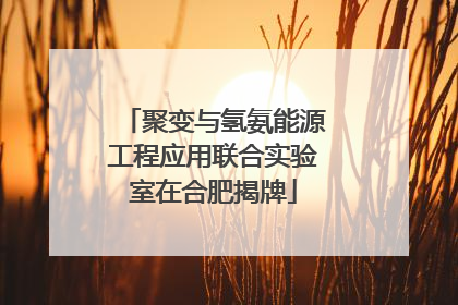 聚变与氢氨能源工程应用联合实验室在合肥揭牌