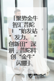 聚势金牛 智汇普陀〡“始发站”发力、“创新田”深耕，普陀科创“金牛”闪耀