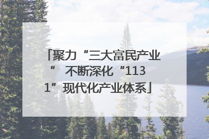 聚力“三大富民产业” 不断深化“1131”现代化产业体系