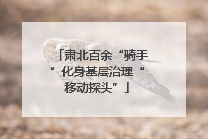 肃北百余“骑手”化身基层治理“移动探头”