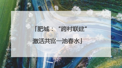 肥城：“跨村联建”激活共富一池春水