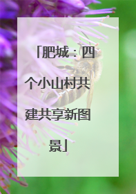 肥城：四个小山村共建共享新图景
