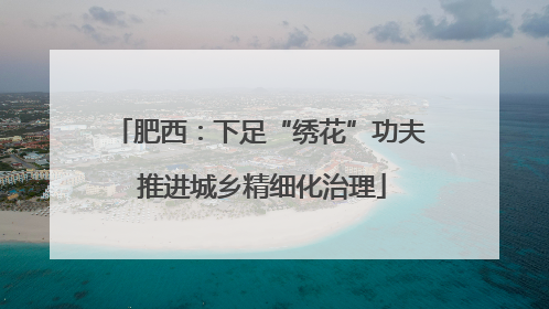 肥西：下足“绣花”功夫 推进城乡精细化治理