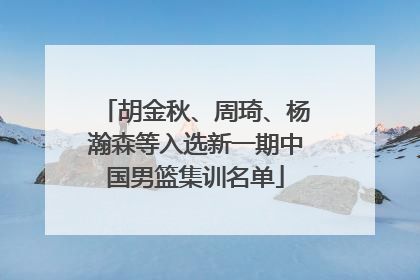 胡金秋、周琦、杨瀚森等入选新一期中国男篮集训名单