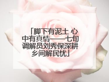 脚下有泥土 心中有真情——七旬调解员刘秀保深耕乡间解民忧